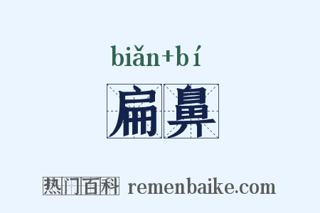 扁鼻是什么意思的图片